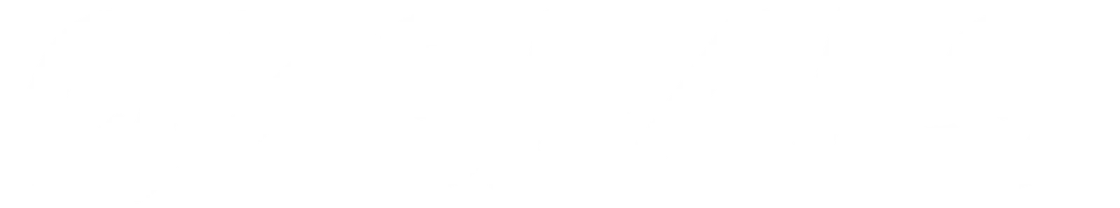 QZSEALS logo - white