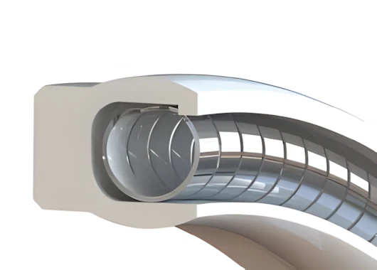 Spring Energized Seals