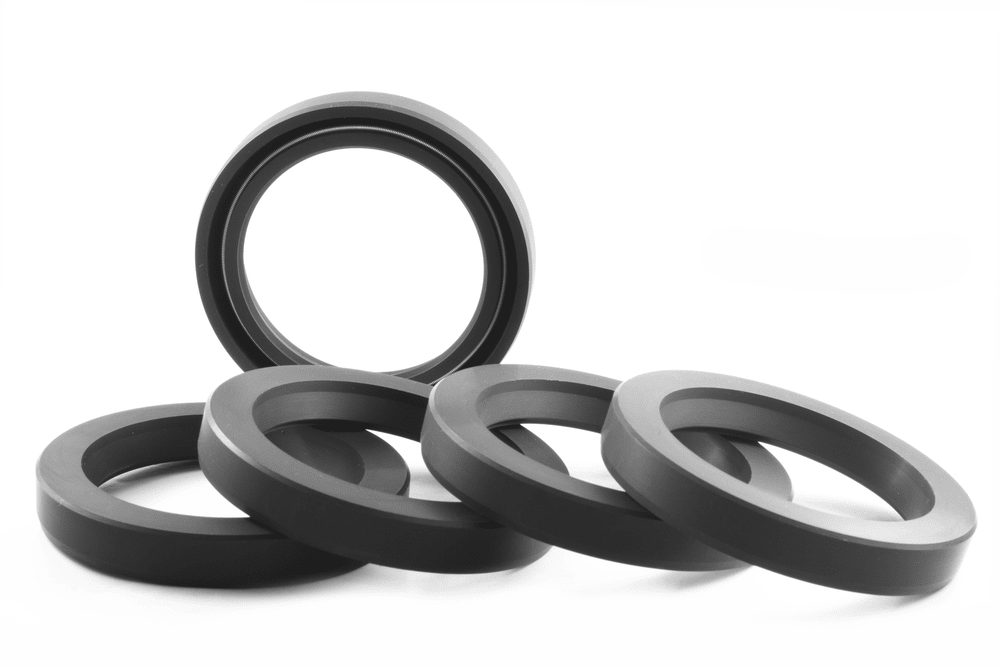 Oil Seal