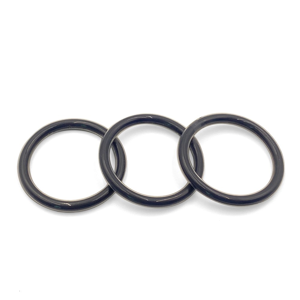 PFA encapsulated O ring with FKM (Viton) core for chemical resistant static sealing-QZSEALS